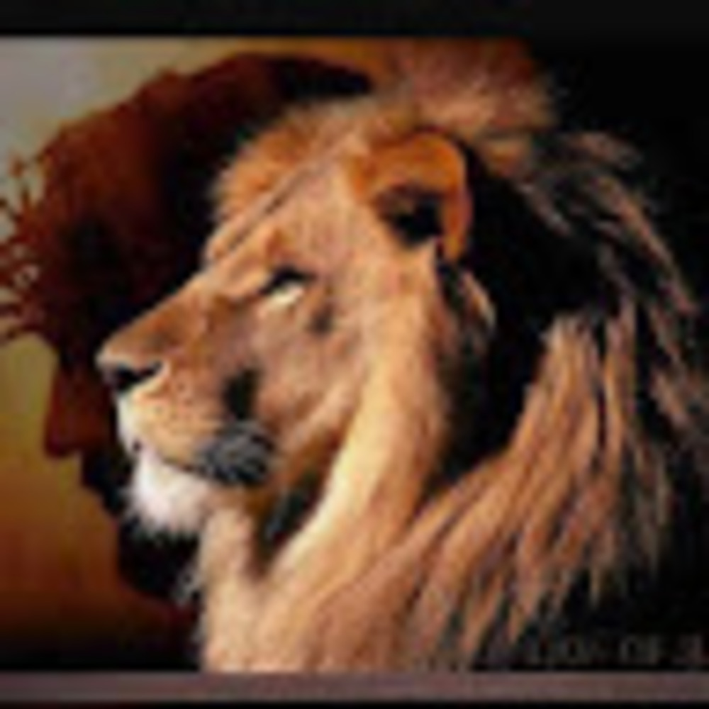 Meet your Posher, Father is